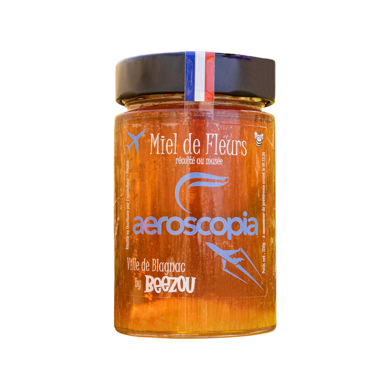 Miel musée aeroscopia